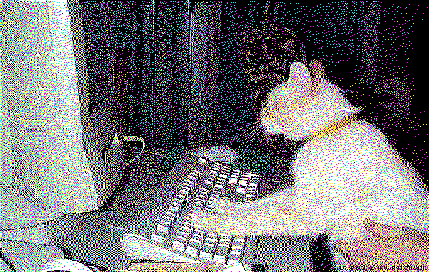 a photo of an orange kitten sitting in front of an old desktop computer with its paws resting on the keyboard