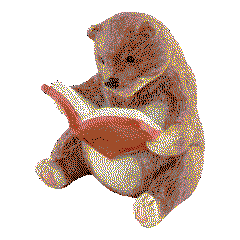 brown bear reading a book
